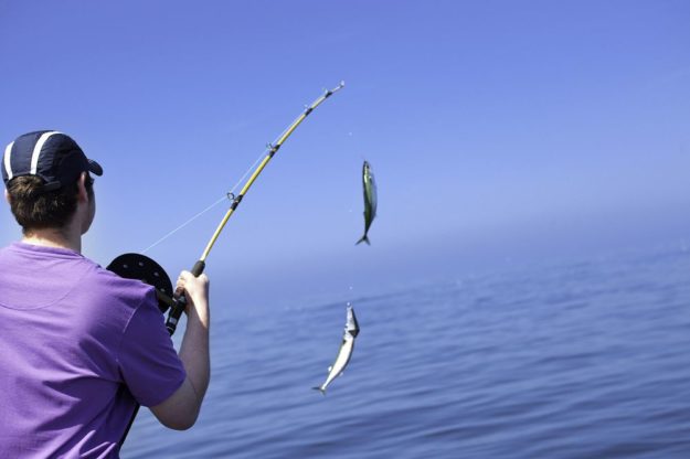 Desain Kaos mancing Printing Desain Kaos mancing Printing